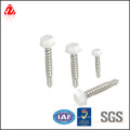 high quality white painted head screw